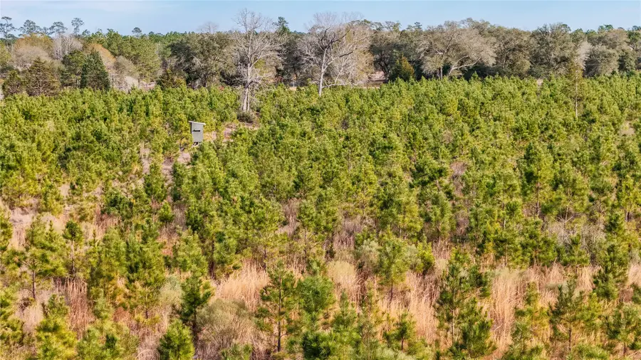 TBD2 County Road 1450, Warren, TX 77664 - Image #2