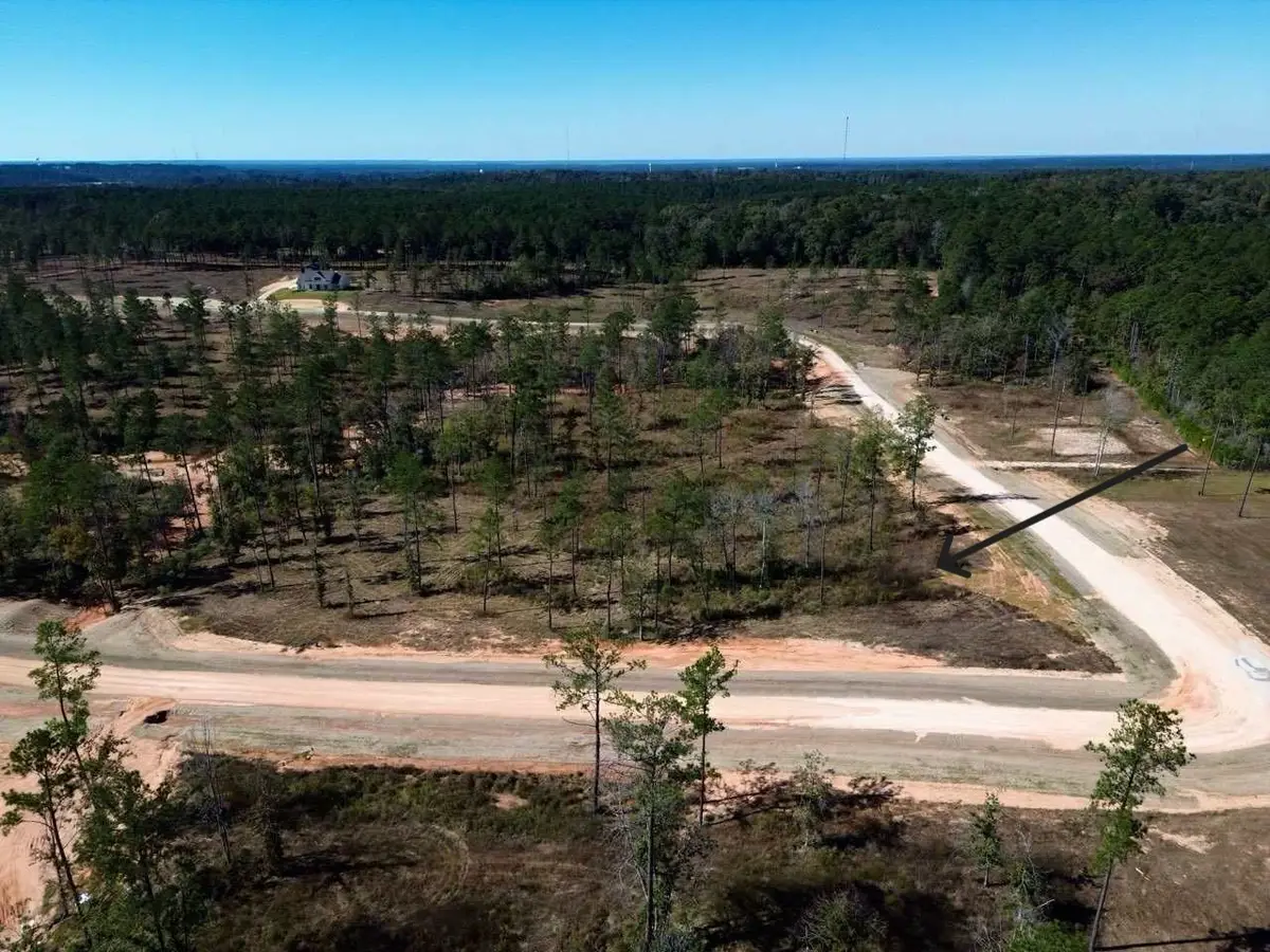 LOT 126 Tranquility Road, Livingston, TX 77351 - Image #1