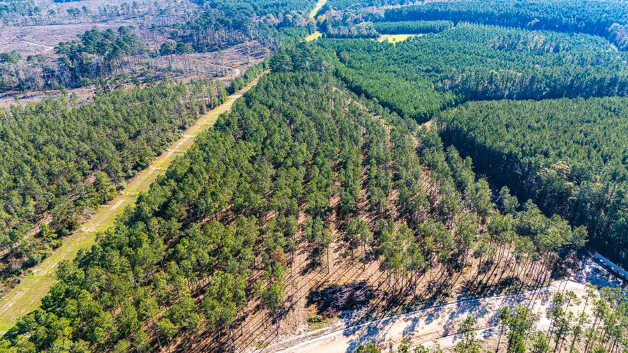 141516 Big Buck Drive, Moscow, TX 75960 - Image #2