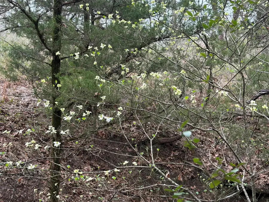 844 County Road 374, Milano, TX 76556 - #2