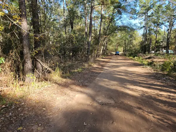 0003 Pinecone Lane, Plantersville, TX 77363