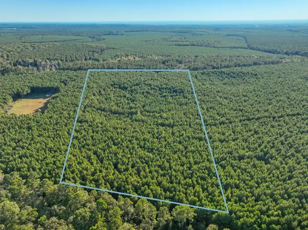 0 Bluewater Road, Livingston, TX 77351