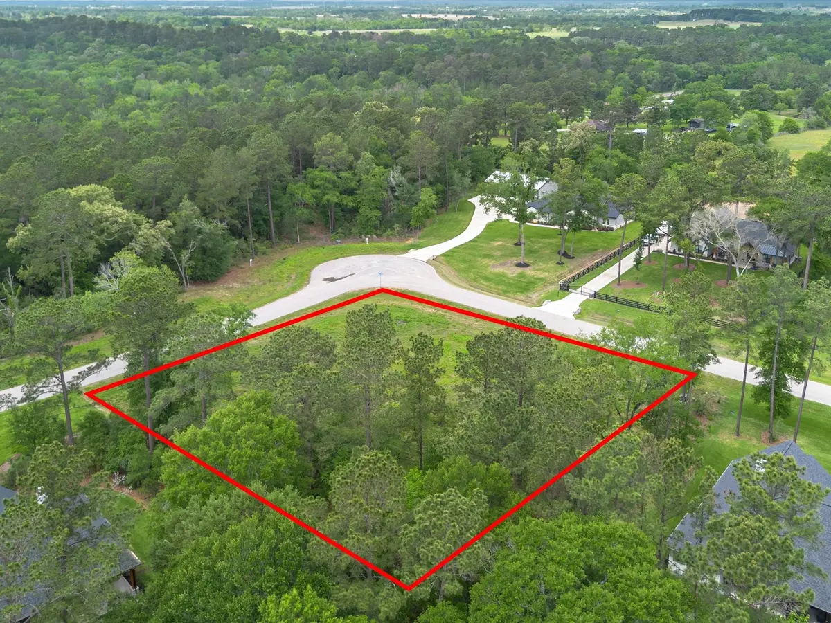 8224 Cedar Trails Lane, Plantersville, TX 77363 - #1