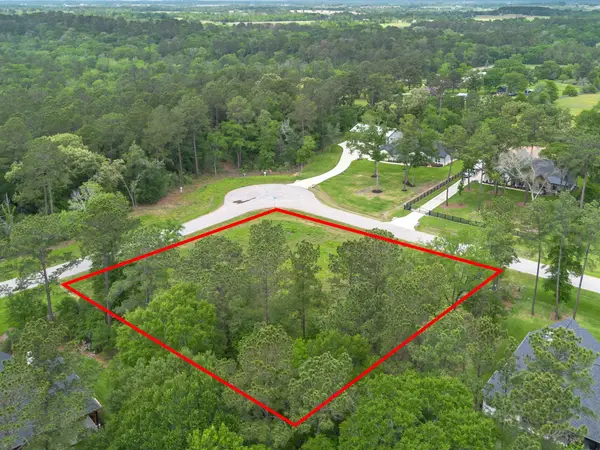 8224 Cedar Trails Lane, Plantersville, TX 77363