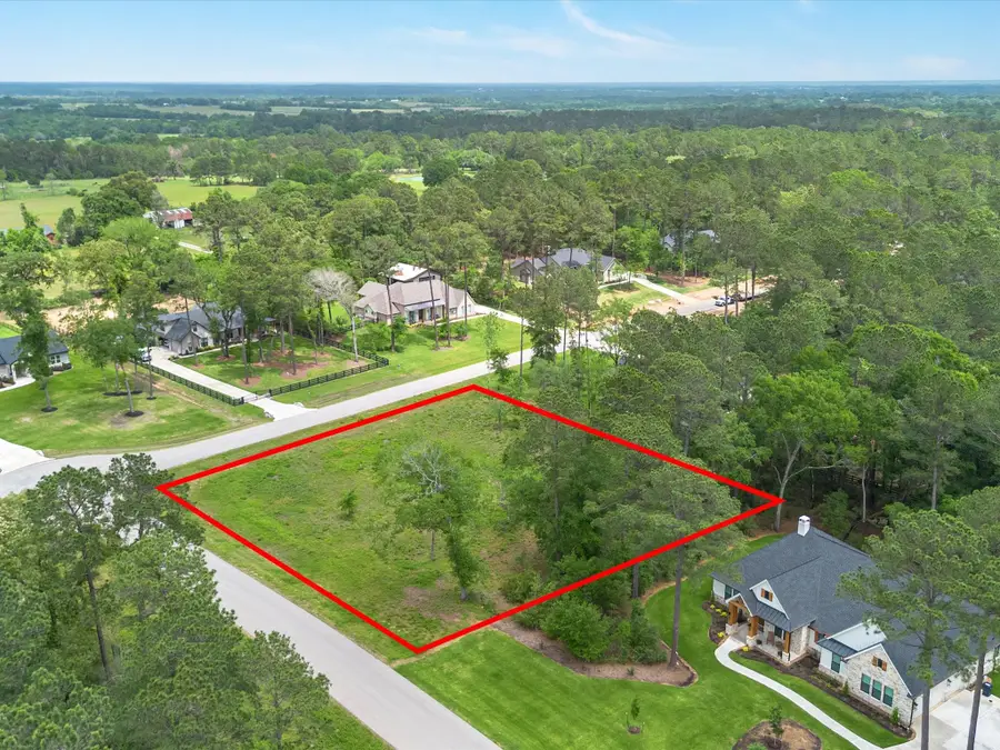 8224 Cedar Trails Lane, Plantersville, TX 77363 - #2