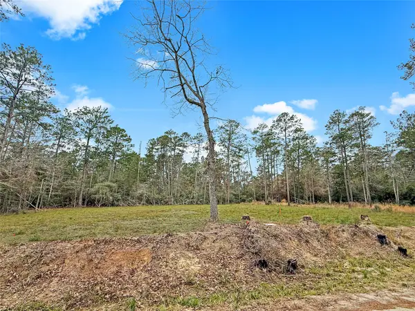 252 Amblewood Drive, Brookeland, TX 75931