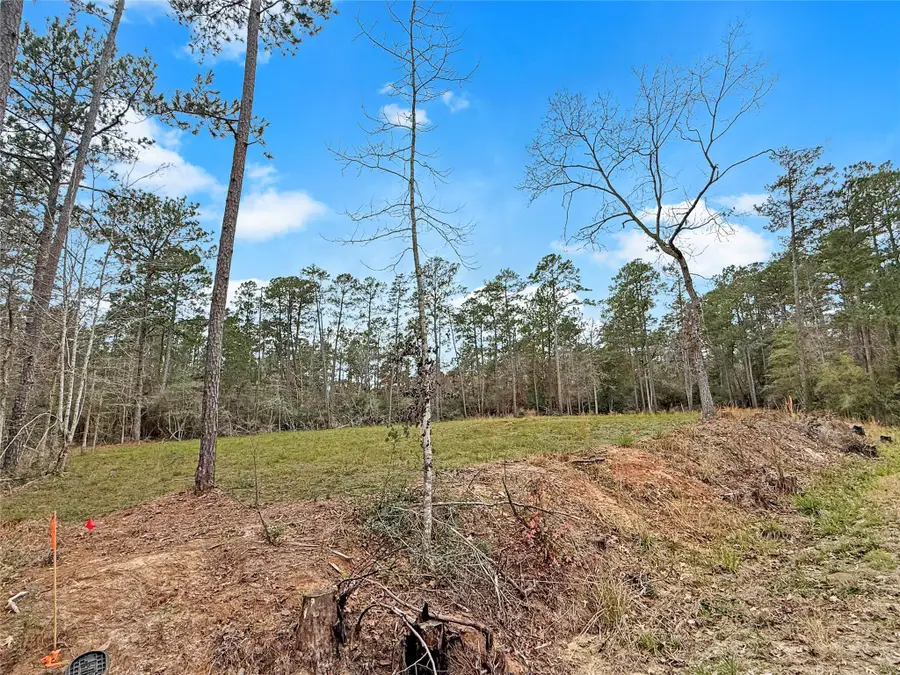 252 Amblewood Drive, Brookeland, TX 75931 - #2