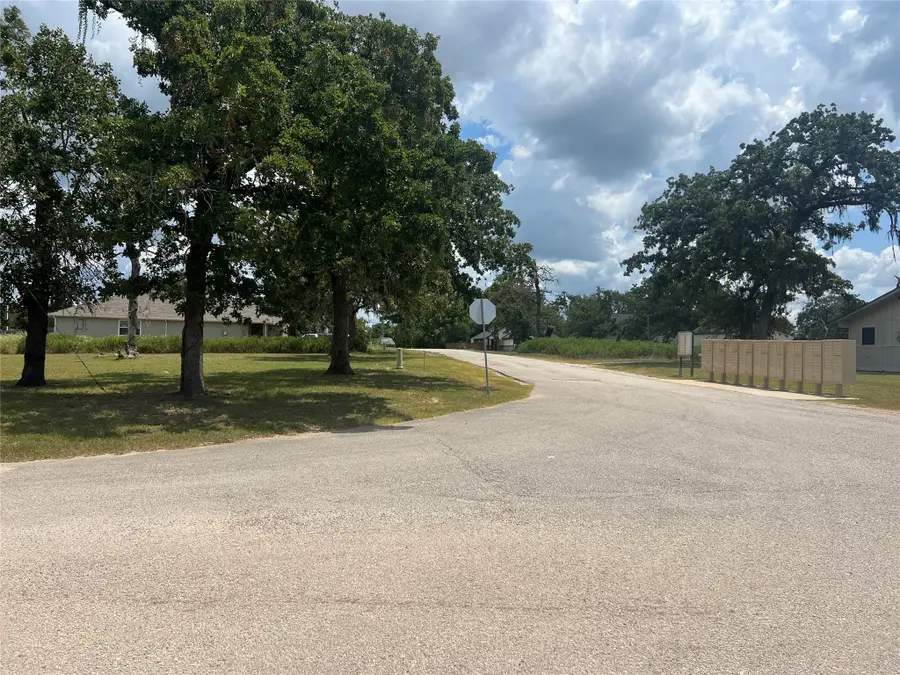 0 Deerwood Drive, Hempstead, TX 77445 - Image #3