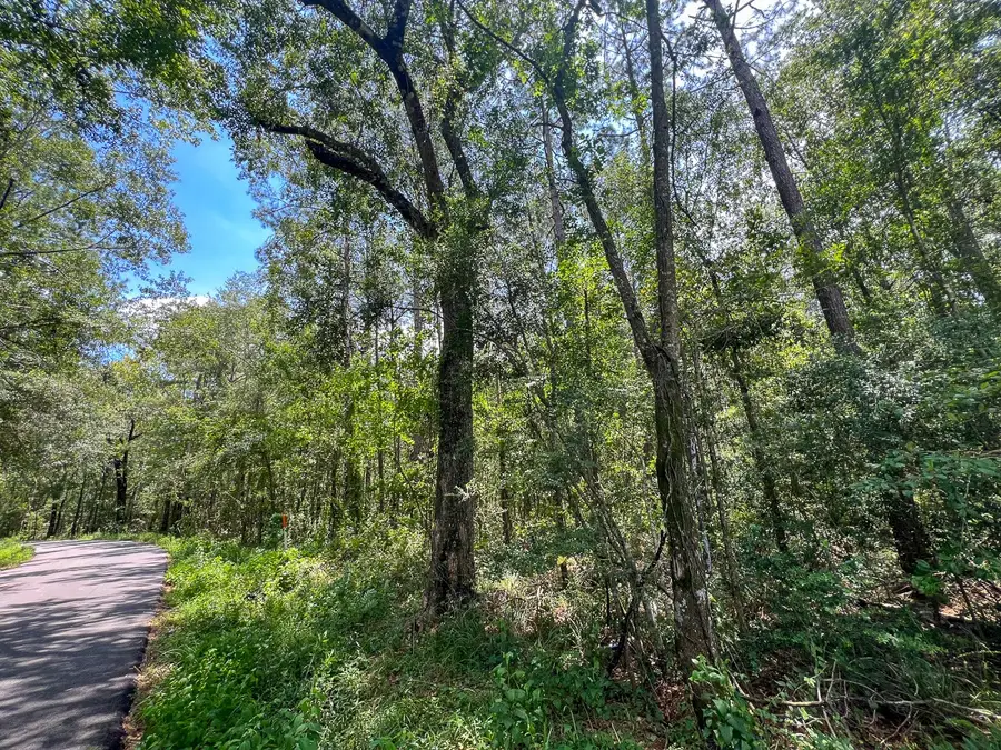 3 County Road 821, Buna, TX 77612 - Image #3