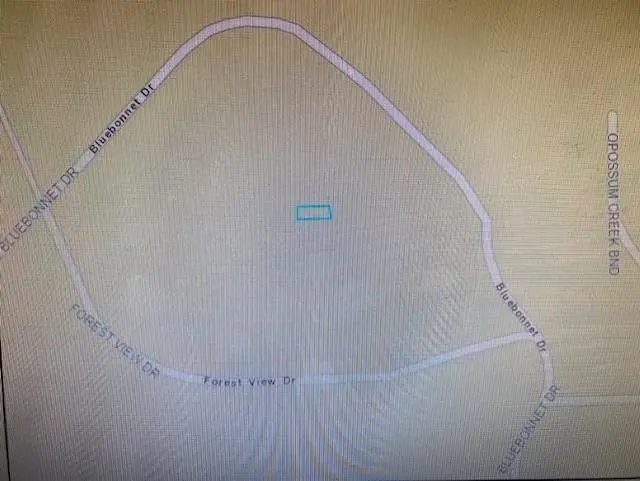 21793 Bluebonnet Drive, Navasota, TX 77868 - Image #3