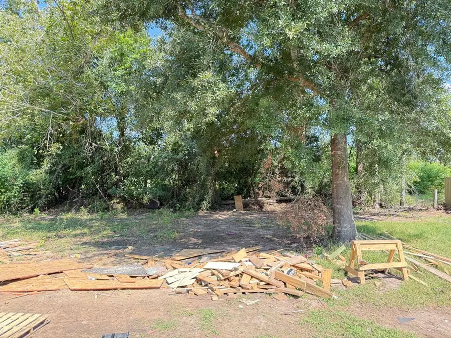 2541 Cr 769c, Brazoria, TX 77422 - Image #3