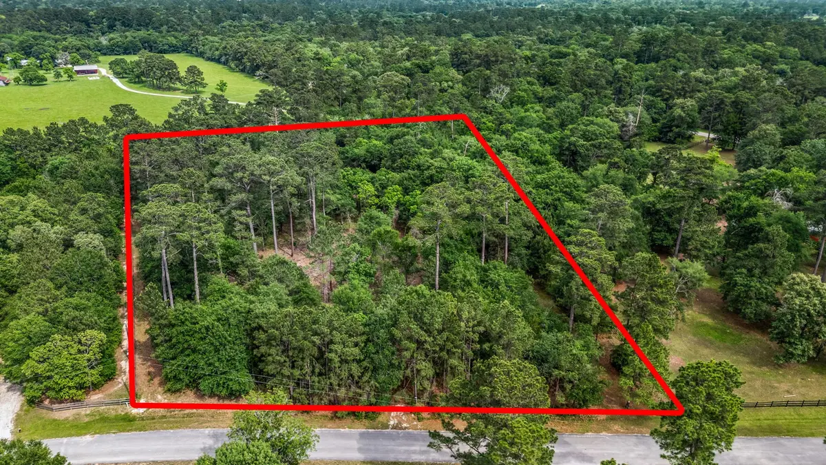 26020 Pine Shadows Drive, Hockley, TX 77447 - #1
