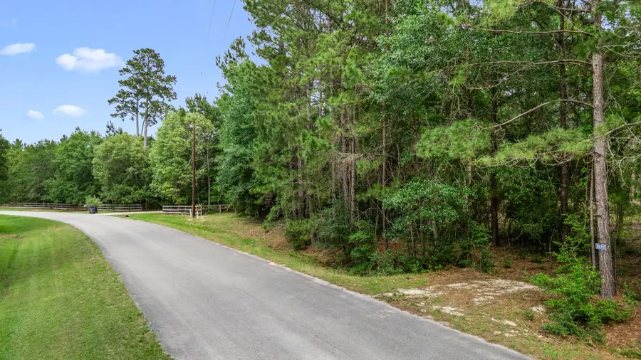 26020 Pine Shadows Drive, Hockley, TX 77447 - #2