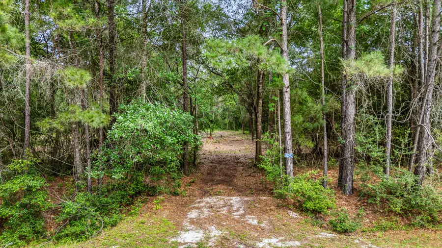 26020 Pine Shadows Drive, Hockley, TX 77447 - #3