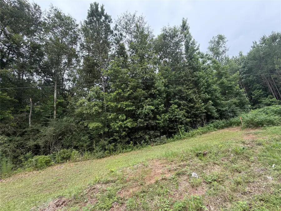 TBD Buffalo Subdivision, Livingston, TX 77351 - #2