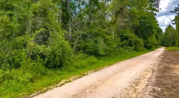 1176 Plum Pudding Road, Livingston, TX 77351