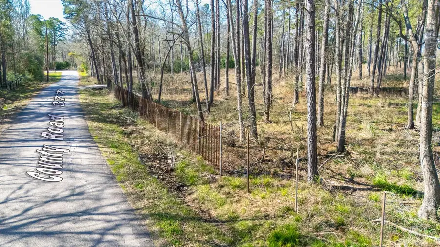TBD County Road 377, Cleveland, TX 77327 - #3