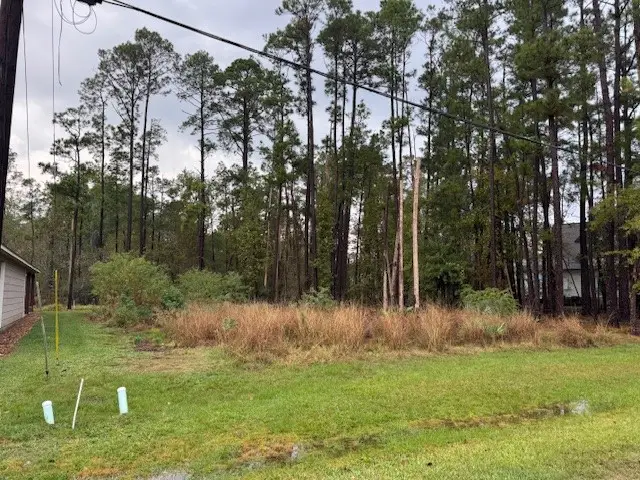 10 Trail Lake, Trinity, TX 75862 - Image #1