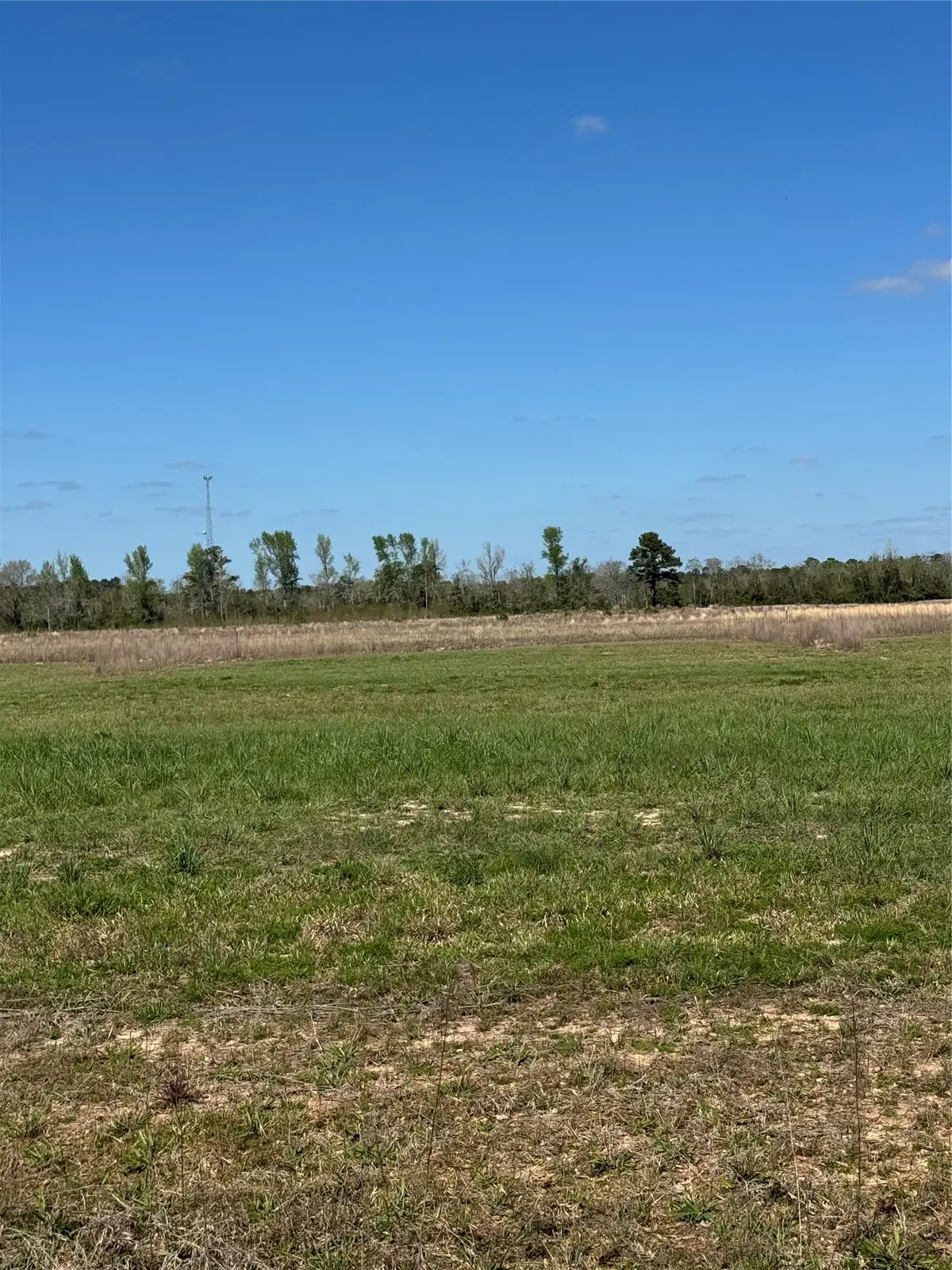 428 County Road 2278, Cleveland, TX 77327 - #1
