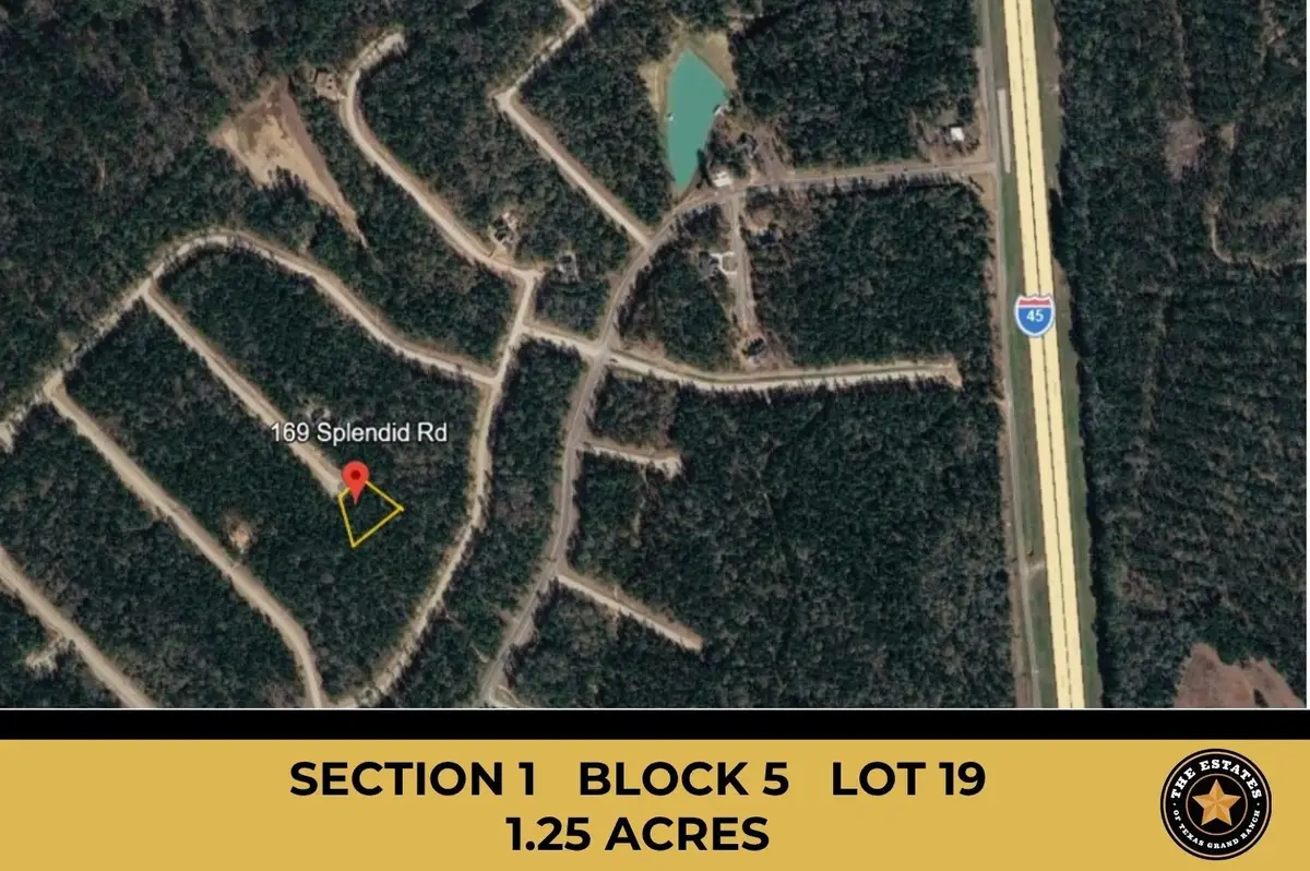 169 Splendid Road, New Waverly, TX 77358 - #1