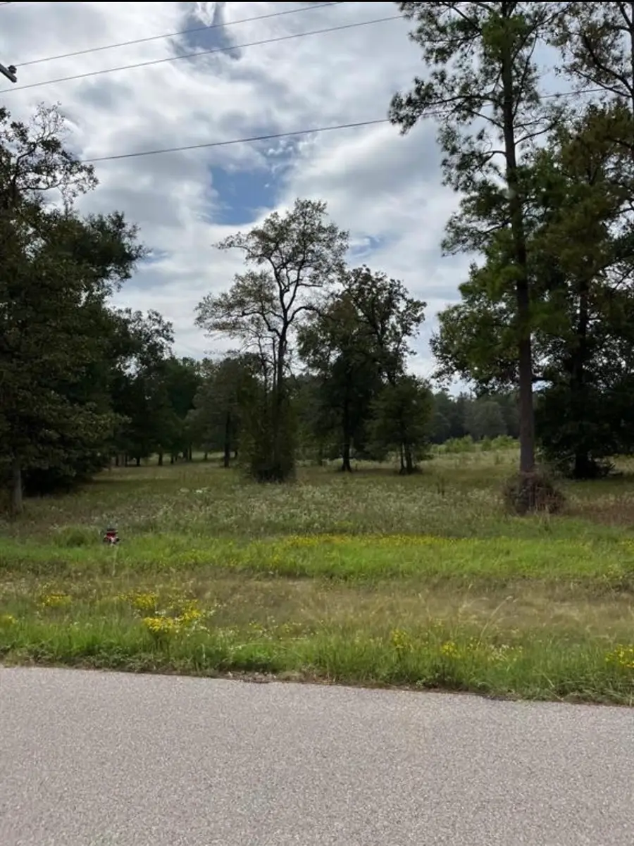 Lot 3 Dahlia Road, Huntsville, TX 77320 - #3