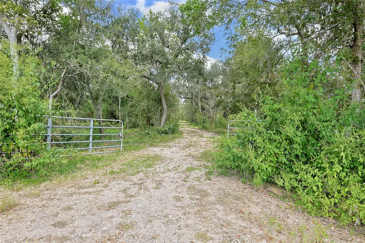 6306 County Road 244, Brazoria, TX 77422 - Image #1