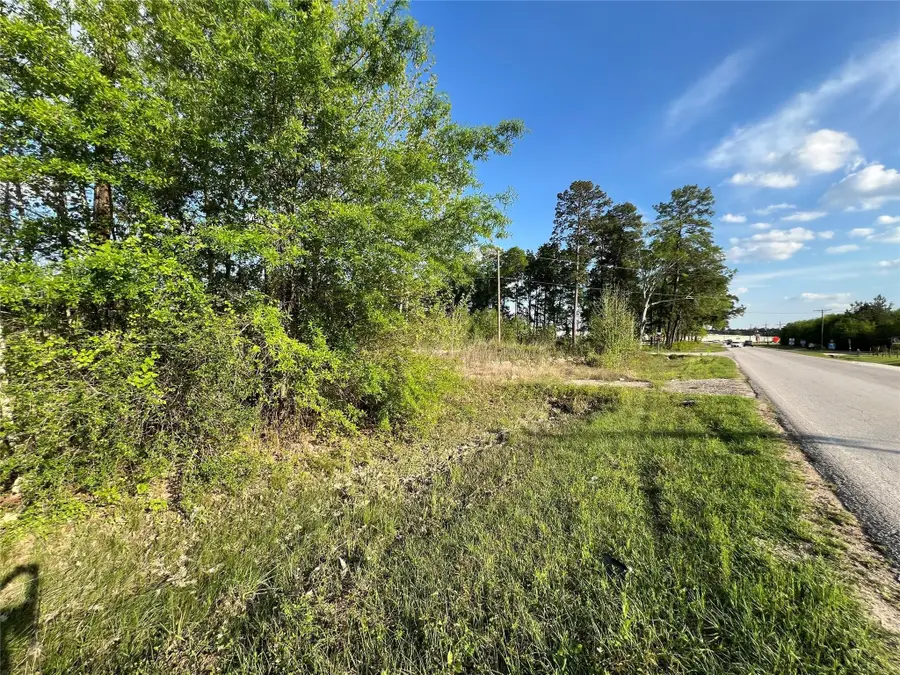 11785 Fostoria Road, Southeast Montgomery, TX 77328 - Image #2