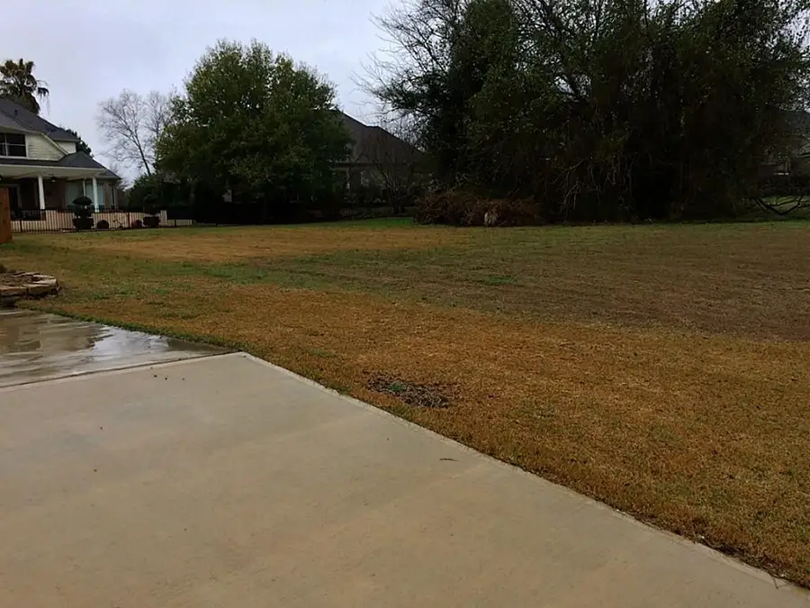 41 Bellingham Court, Conroe, TX 77303 - #2