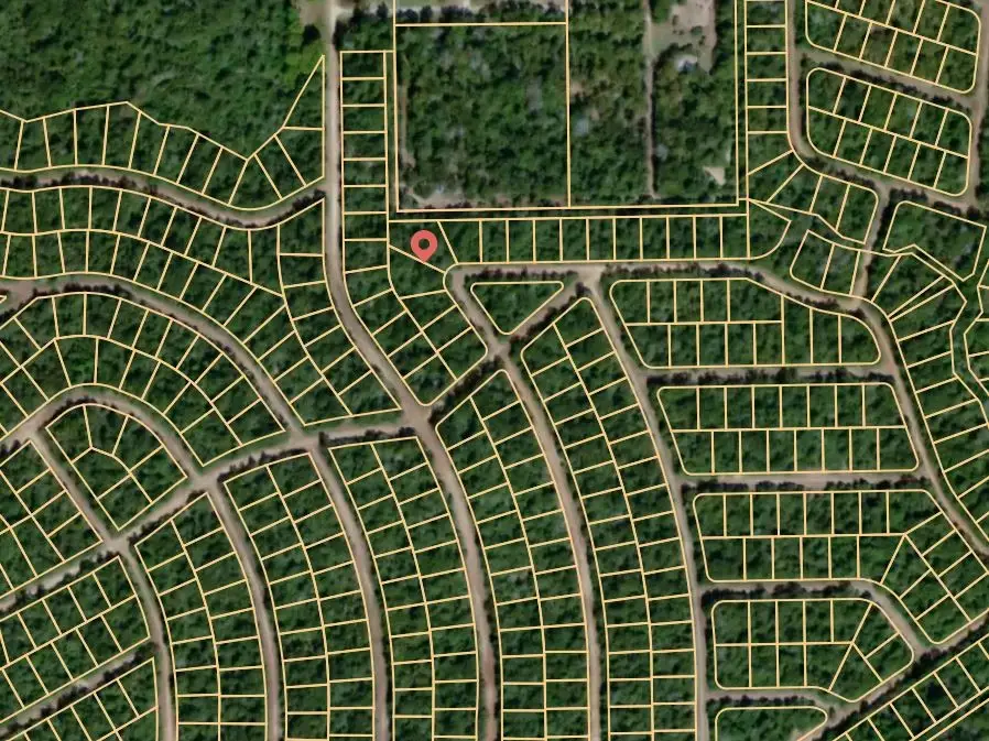 Lot 18 Burgandy Drive, Normangee, TX 77871 - Image #3