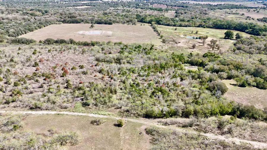Tract 4 Maynard Hallmark Road, Waelder, TX 78959 - Image #2