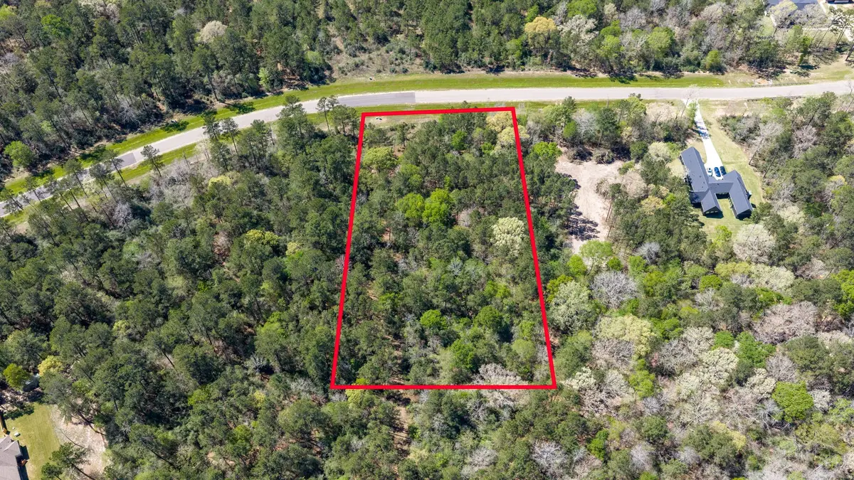 15824 Wood Grove Way, Willis, TX 77378 - #1