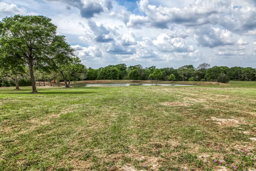 Parcel 5 - Fm 1697, Carmine, TX 78932 - #2