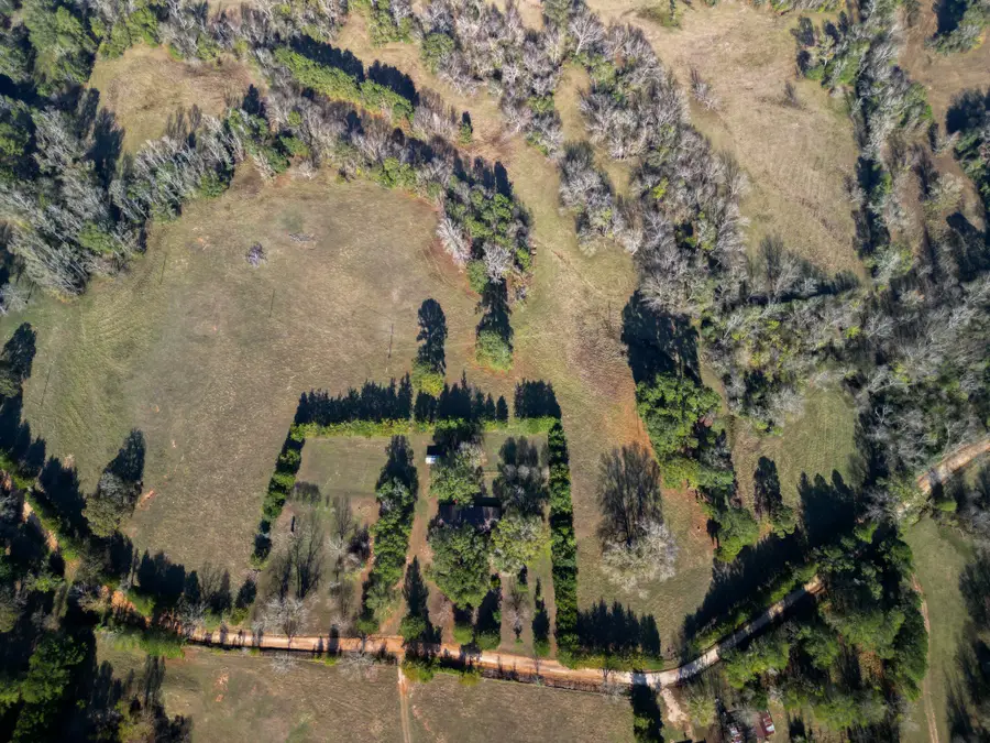 1549 County Road 1650, Grapeland, TX 75844 - #2