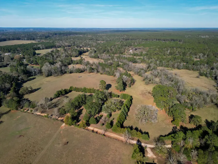 1549 County Road 1650, Grapeland, TX 75844 - #3