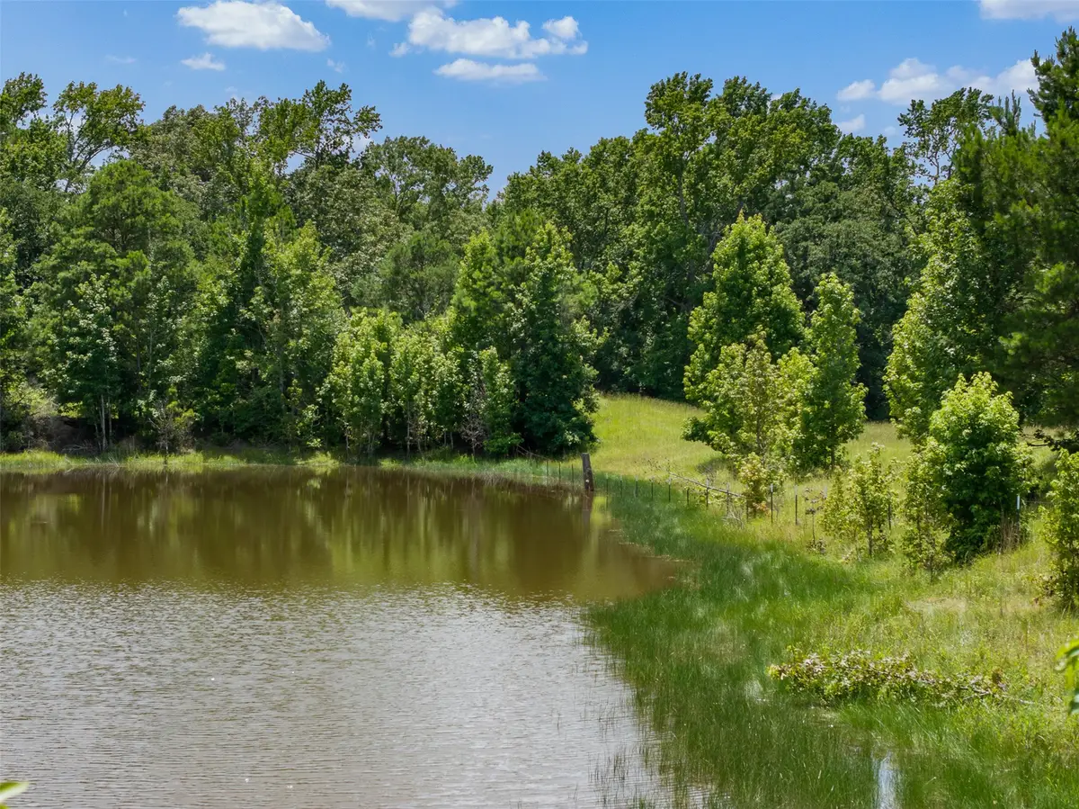 17952 County Road 224, Oakwood, TX 75855 - #1