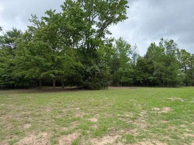 17952 County Road 224, Oakwood, TX 75855 - #3