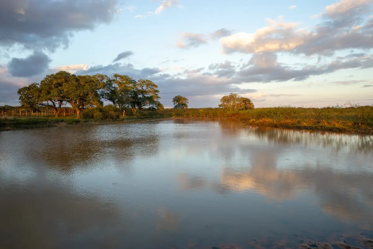 TBD County Road 15a, Hallettsville, TX 77964 - #1
