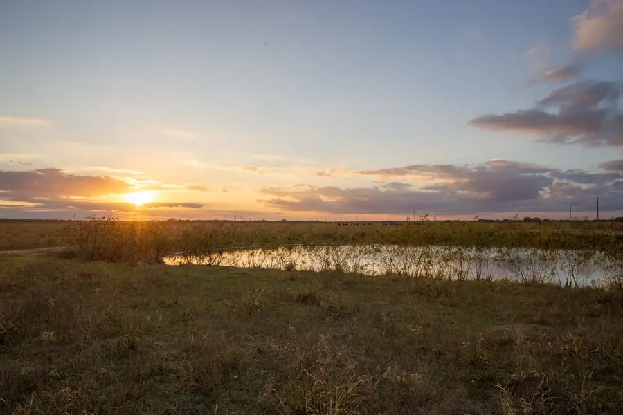 TBD County Road 15a, Hallettsville, TX 77964 - #2