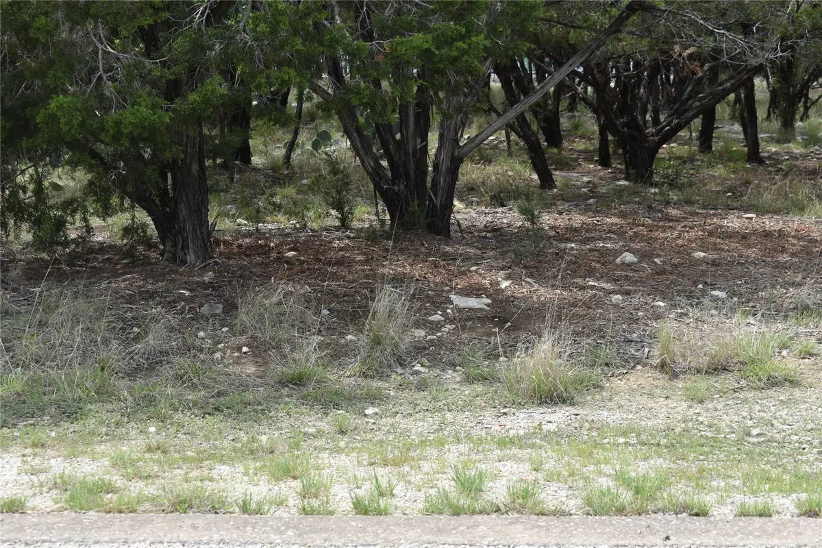 Lot 200 Harbor Town Drive, Graford, TX 76449 - Image #1