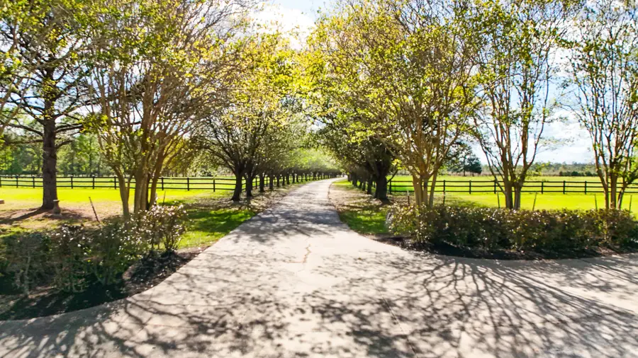 4340 Highway 1131, Vidor, TX 77662 - #3