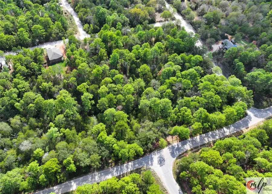 133 Lamaloa Lane, Bastrop, TX 78602 - Image #2