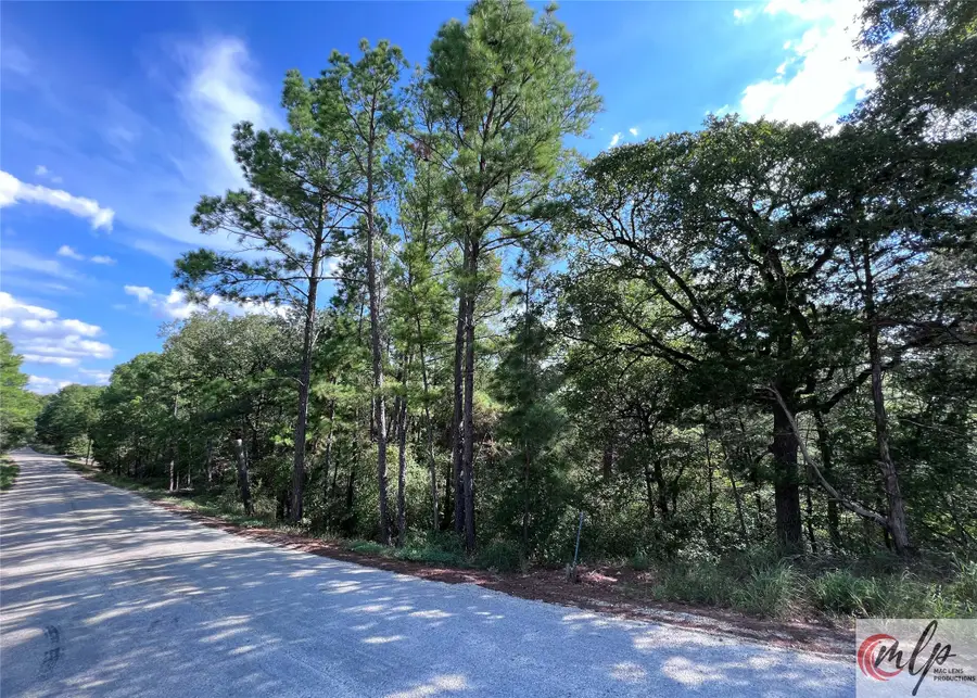 133 Lamaloa Lane, Bastrop, TX 78602 - Image #3