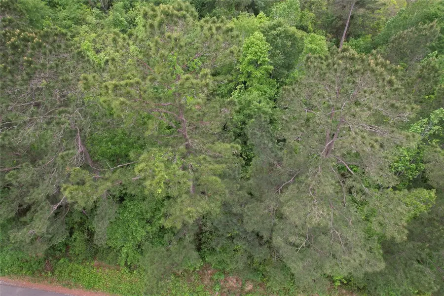 TBD Eastepp Road, Livingston, TX 77351 - #2