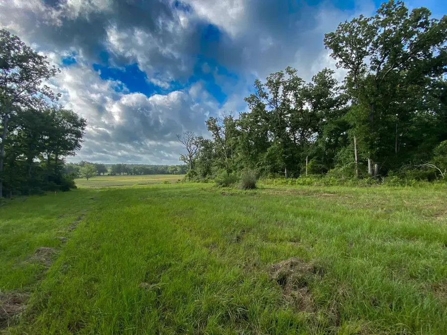 4610 County Road 426, Marquez, TX 77865 - Image #2