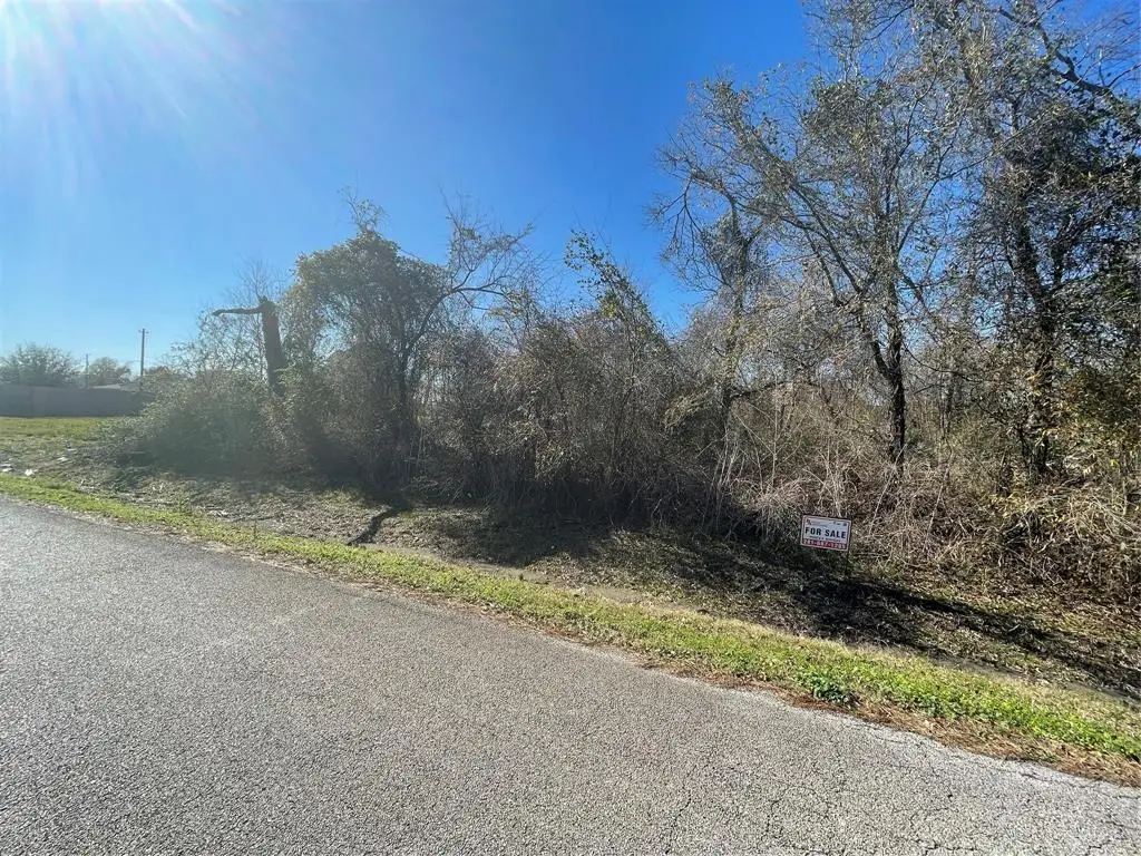 0 Yaupon Street, Baytown, TX 77520 - Image #1