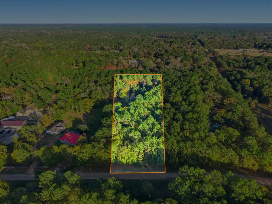 0 Lee Drive, Cleveland, TX 77328 - Image #2