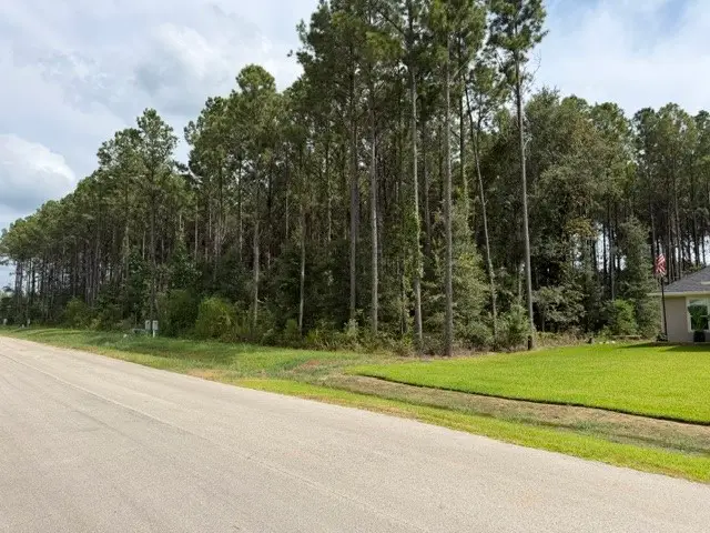 1564 Road 66114, Dayton, TX 77535 - #2