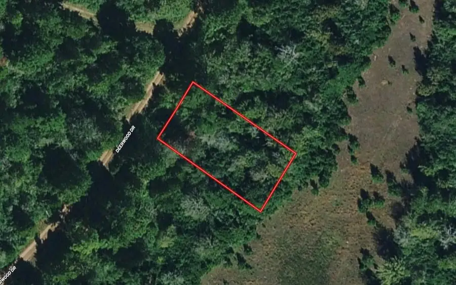 Lot 14 Deerwood, Hempstead, TX 77445 - #2