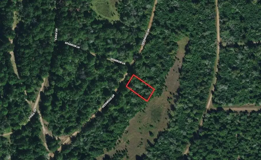 Lot 14 Deerwood, Hempstead, TX 77445 - #3