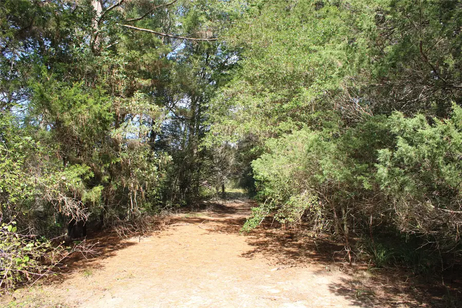 5485 Highway 36 N, Bellville, TX 77418 - Image #2